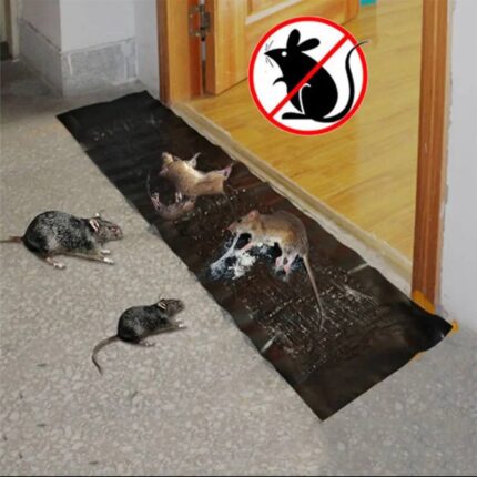 Rat Glue Mat